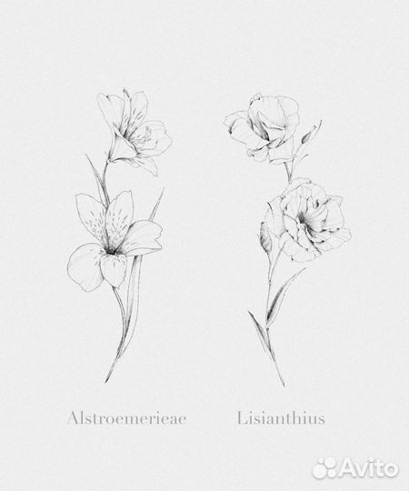 Модель для тату