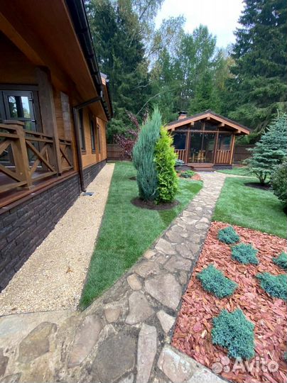 Продажа рулонного газона