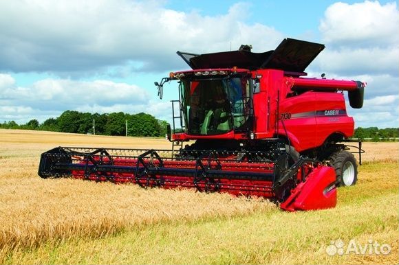 162245 111261 Шестерня MacDon