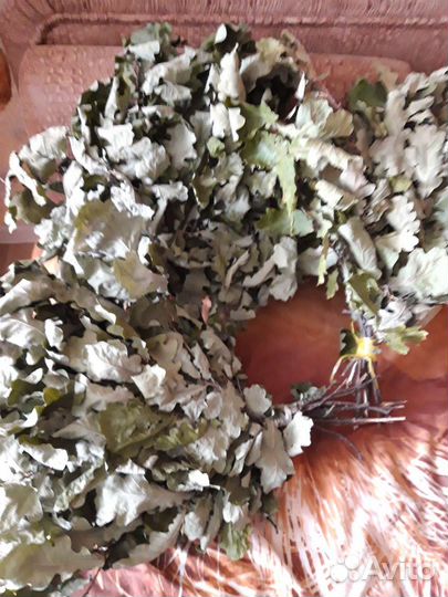 Веники дубовые