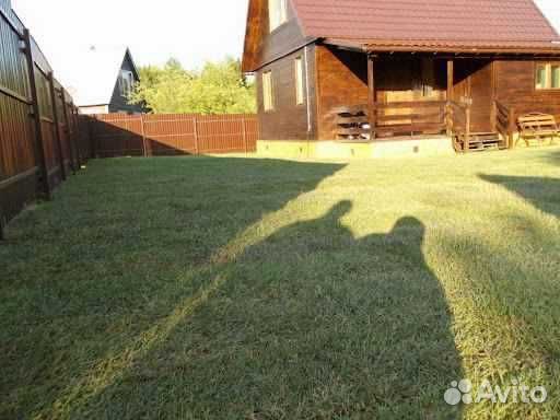 Рулонный газон, укладка, продажа