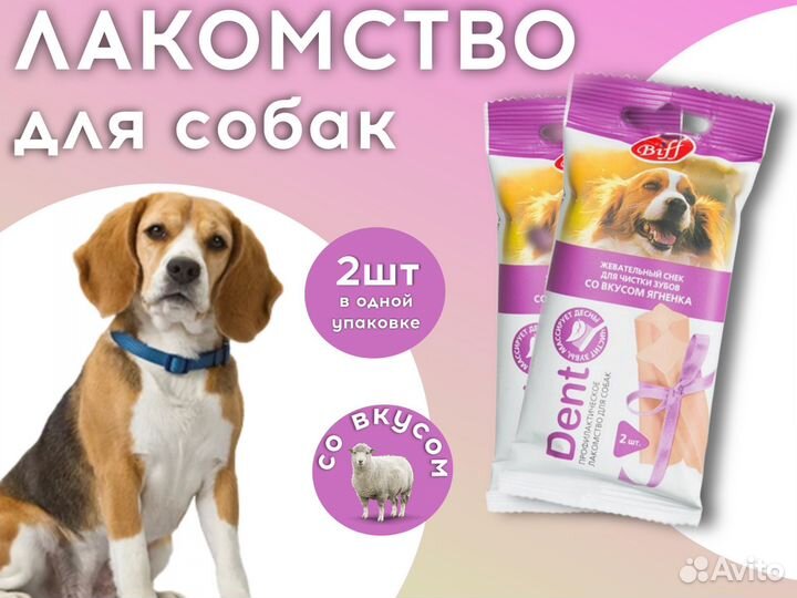 Инфографика
