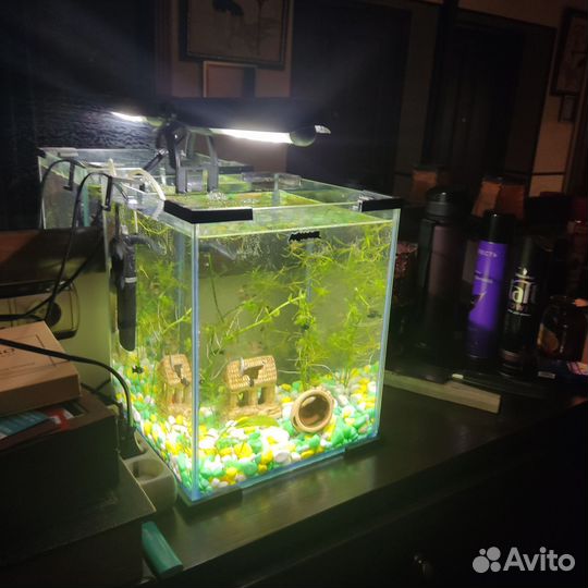 Aquael аквариум 20л