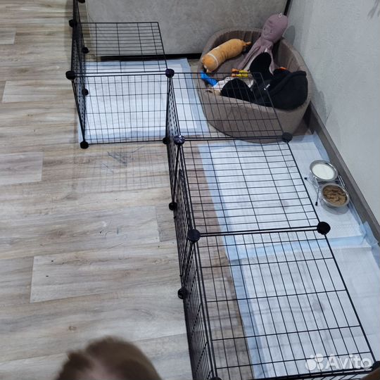 Вольер для щенков