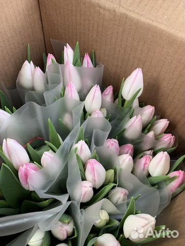Тюльпаны доставка 8 марта