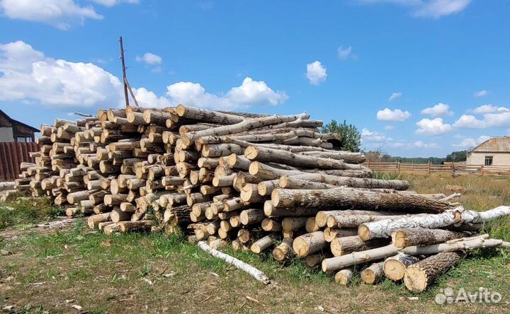 Осина дрова