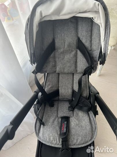 Коляска bugaboo ant