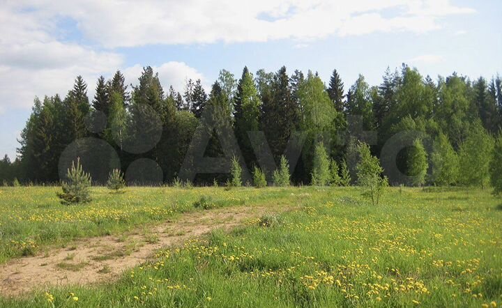 Участок 10 сот. (СНТ, ДНП)