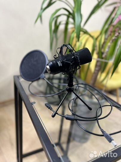 Студийный микрофон Proaudio UM-300