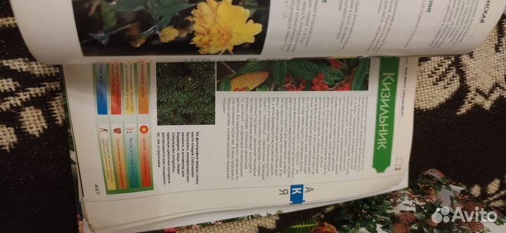 Подборка журналов 