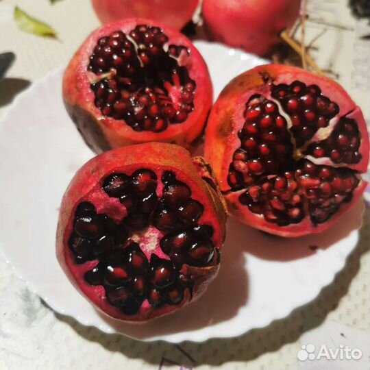 Гранат сорт Бельбек