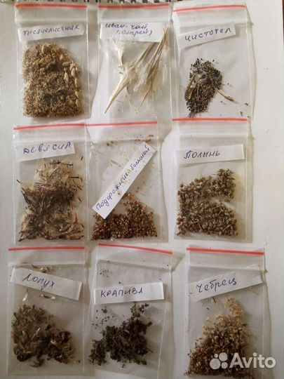 Семена расторопши и др лекарственных растений