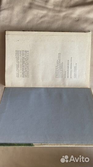 Белый бим черное ухо