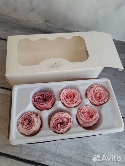 Цветы/сухоцветы для декора