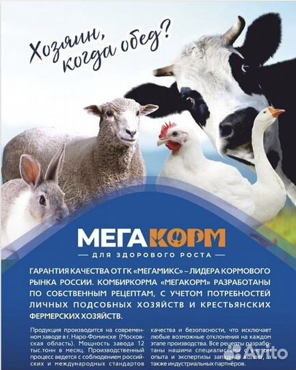 Корм для птиц