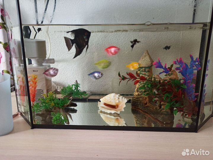 Аквариум на 50 литров