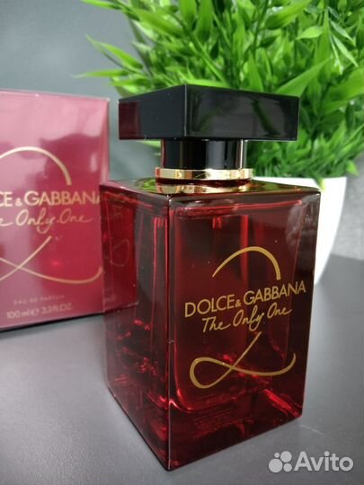Dolce Gabbana the only one 2