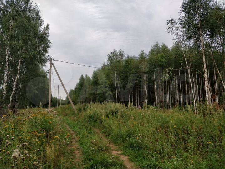 Участок 12 сот. (ИЖС)