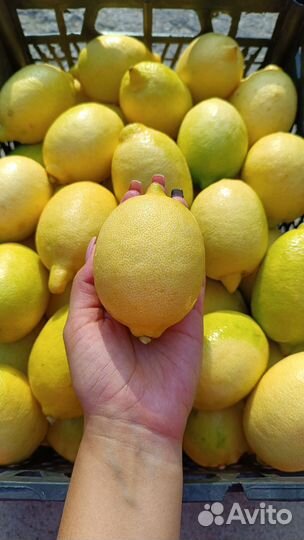 Лимоны