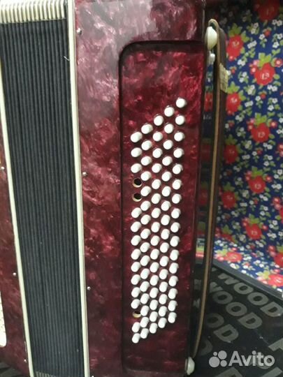 Аккордеон Шуя 34х80-III-5