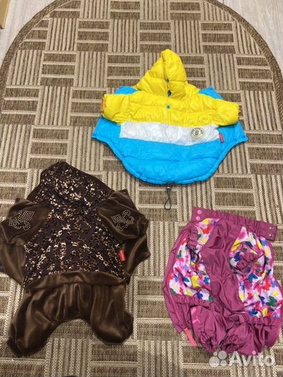 Комбинезон для маленькой собаки