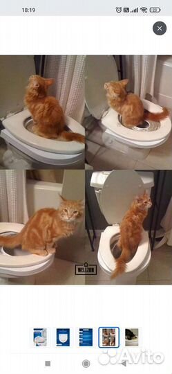 Система приучения кошек к унитазу