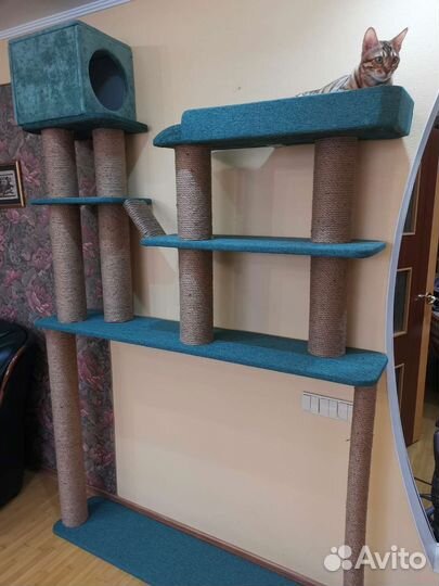 Когтеточка для кошек