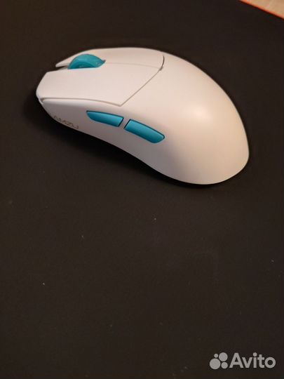 Lamzu atlantis og v2