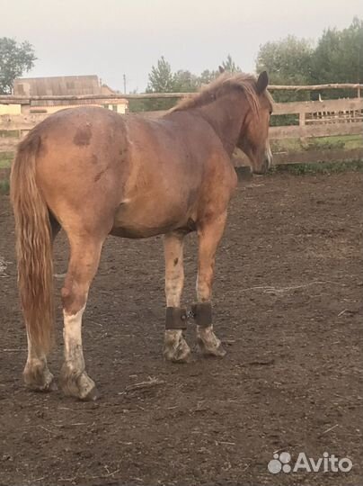 Советский тяжеловоз