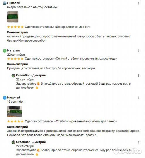 Мох для декора помещений стен премиальная кочка