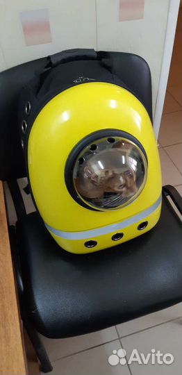 Рюкзак переноска для животных забронирован