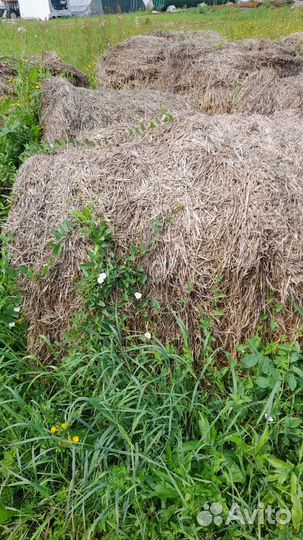 Солома в рулонах