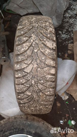 Tunga Tunga 15/65 204B