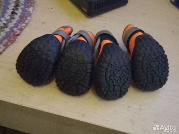 Обувь для собак