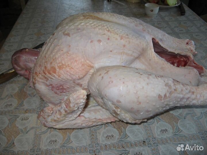 Индюшата Биг-6