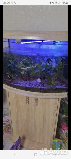 Аквариум +тумба