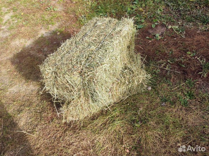 Сено разнотравье в тюках