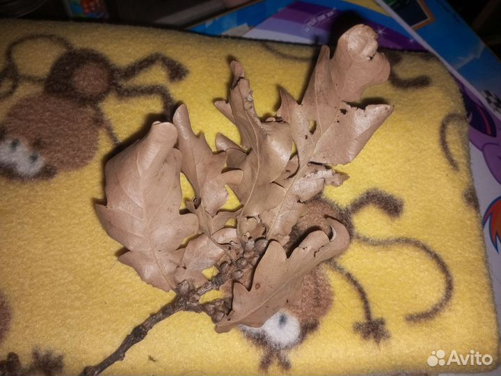 Анод медный. Бронь