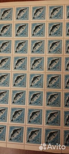 Лист марок 8х10 Охрана ценных Рыб СССР чист/клей