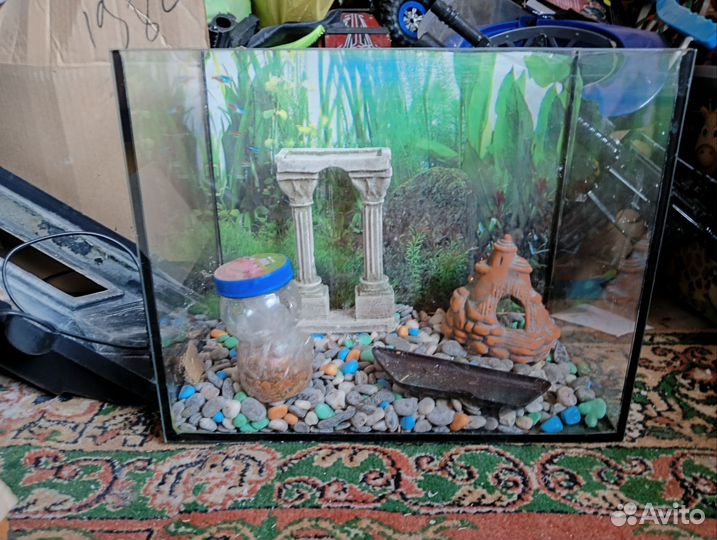 Аквариум