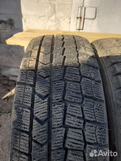 Dunlop Winter Maxx 175/65 R14