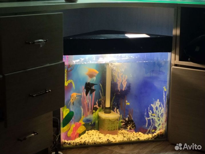 Аквариум угловой