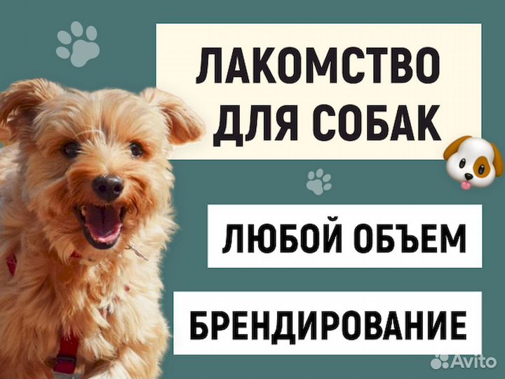 Корм для собак. Прямые производители