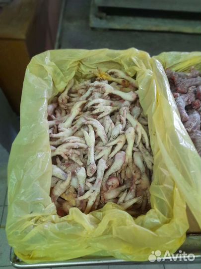 Куриные головы и ноги и шеи и фарш