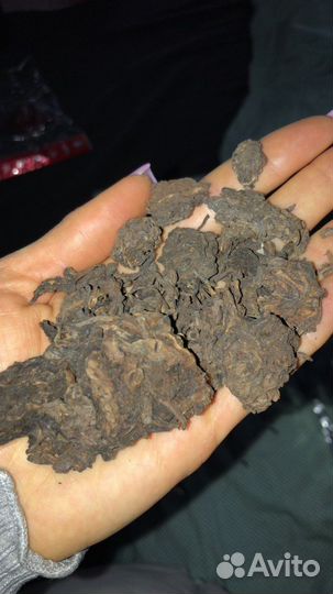 Чай Пуэр,Габа,Улун,Чайные головы