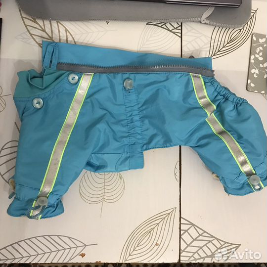 Костюм на собаку