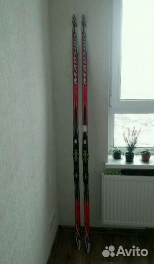 Беговые лыжи