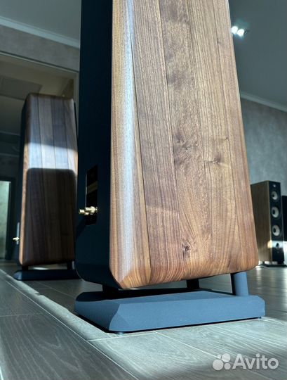 Акустика Chario Constellation Pegasus mkii