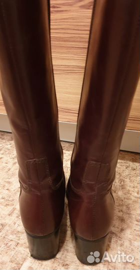 Демисезонные сапоги Luca Grossi (р.36)