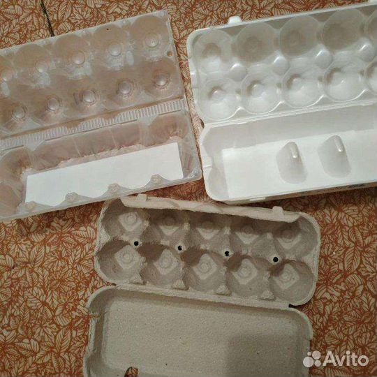 Ячейки для яиц